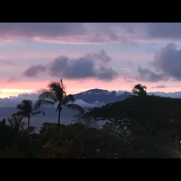 Meet the posher - Picture 6 of 16